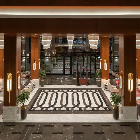伊斯坦布尔亚洲机场瑞享酒店 5* 伊斯坦布尔