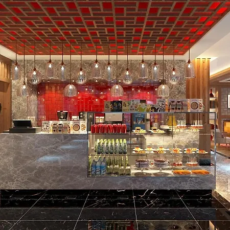 伊斯坦布尔亚洲机场瑞享酒店 5*